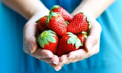 خصوصیات توت فرنگی - 10 فایده توت فرنگی برای بدن | مجله سلامت یاثار