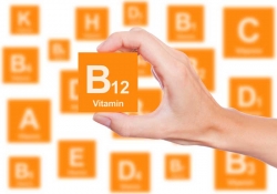 15 منشا خوراکی شامل ویتامین B12 که بایست میل کنید | مجله سلامت یاثار