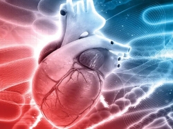 چکاپ قلب و یا چک نشانه ها مریضی قلبی را در کجای برنامه‌های زندگیتان قرار داده‌اید؟! | مجله سلامت یاثار
