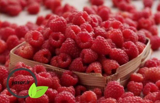 این میوه ها کالری بسیلر کمی دارند