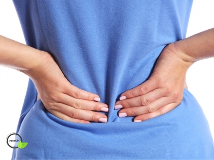 راه حل درمان کمردرد با گیاهان دارویی